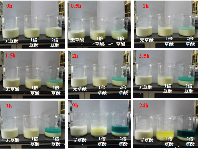 其他催化剂浆料